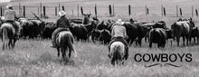 Load image into Gallery viewer, Book - Cowboys and Rodeos