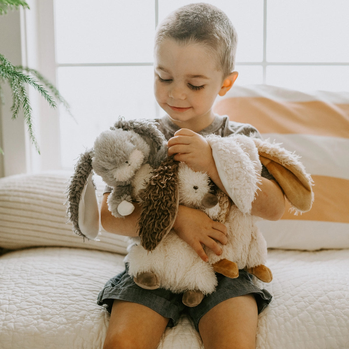 SALE Plush - Herby Hare Bunny – Amanda Radke