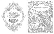 Load image into Gallery viewer, Book - Brambly Hedge: Festive Coloring Book, Jill Barklem