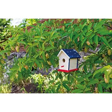 Load image into Gallery viewer, Beetle & Bee Paint A Bird Base, Backyard Birdhouse Kit