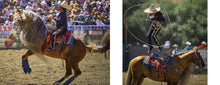 Load image into Gallery viewer, Book - Cowboys and Rodeos