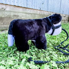 Load image into Gallery viewer, FARM TOY - American-Made Plush Show Calf (6 Colors)