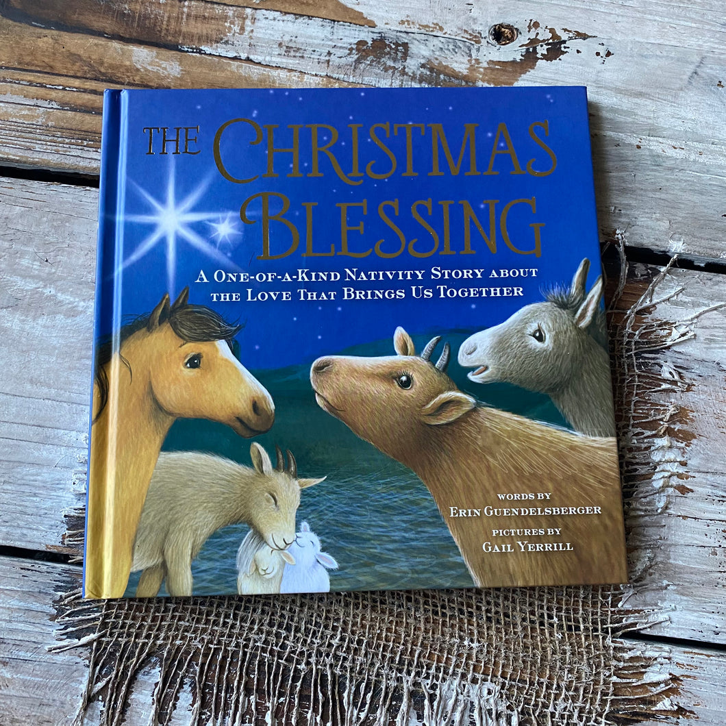 CHRISTMAS Book - Christmas Blessing: A One-of-a-Kind Nativity Story