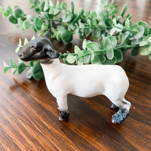 Load image into Gallery viewer, TOY - Champion Crossbred Market Lamb