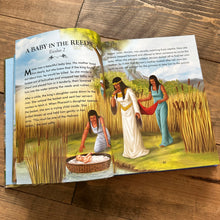 Load image into Gallery viewer, Book - The Complete Illustrated Children's Bible