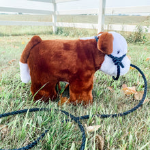 Load image into Gallery viewer, FARM TOY - American-Made Plush Show Calf (6 Colors)