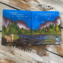 Load image into Gallery viewer, Board Book - Night, Night America