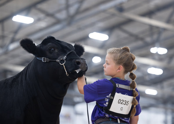 Lessons Learned In The Barn, Memories Made In The Ring