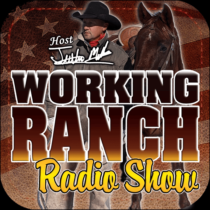 EP 219: Land, Legacy, and Liberty: Keeping America Fed and Free with Amanda Radke