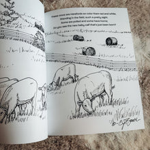 Load image into Gallery viewer, Coloring Book - Cows To Color