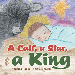**Amanda's Complete Twelve-Book Set**