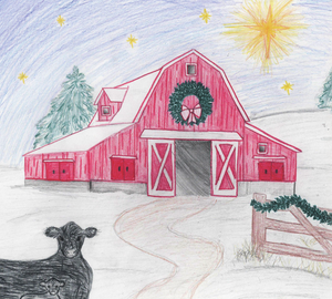 **PRE-ORDER CHRISTMAS BOOK** A Calf, A Star & A King