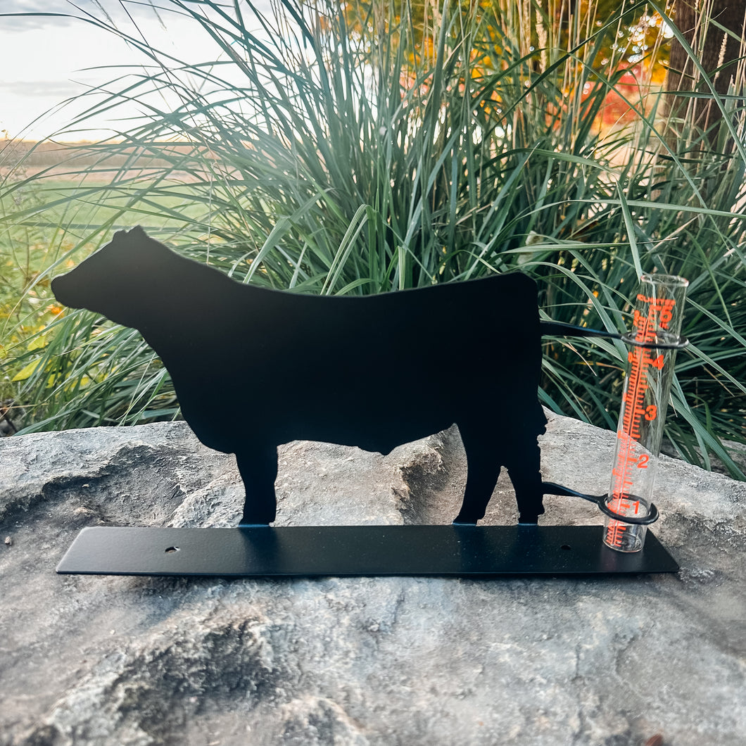 Rain Gauge - Show Steer