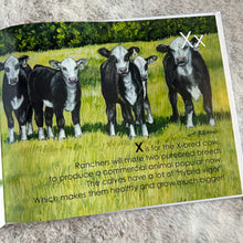 Load image into Gallery viewer, Book - The Cow Book by CJ Brown