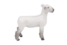 Load image into Gallery viewer, Champion Dorset Market Lamb