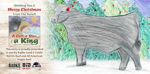 **PRE-ORDER CHRISTMAS BOOK** A Calf, A Star & A King