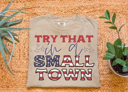 SALE Tee - Try That In A Small Town