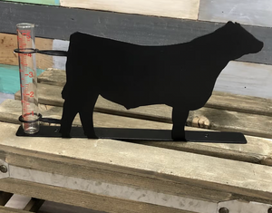 Rain Gauge - Show Steer