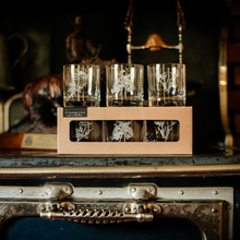 Load image into Gallery viewer, Western Inspired Etched Old Fashioned Whiskey Glasses Set/3