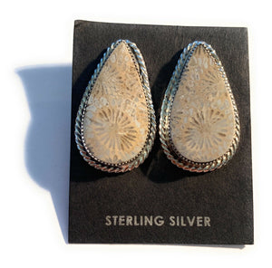 Navajo Fossilized Coral & Sterling Silver Tear Drop Studs