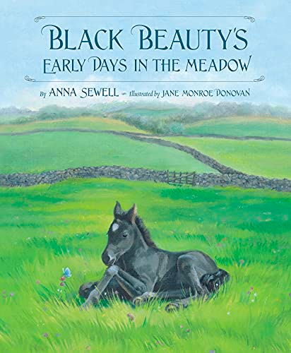 Book - Black Beauty's Early Days in the Meadow