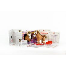 Load image into Gallery viewer, TOY - Veterinarian Horse Activity Set
