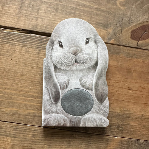 Book - Furry Bunny