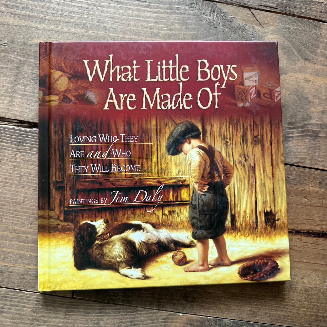 Book - What Little Boys Are Made Of