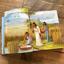 Load image into Gallery viewer, Book - The Complete Illustrated Children&#39;s Bible