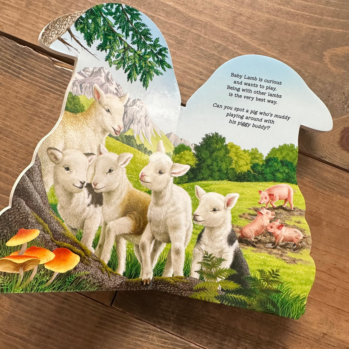 SALE Book - Furry Lamb – Amanda Radke