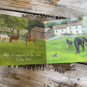 Board Book - Little Foal's Busy Day