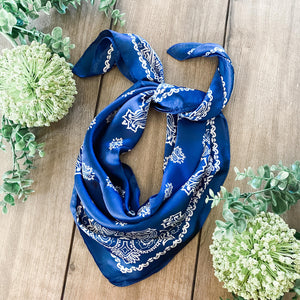 Wild Rags - Classic Paisley Collection (11 colors)
